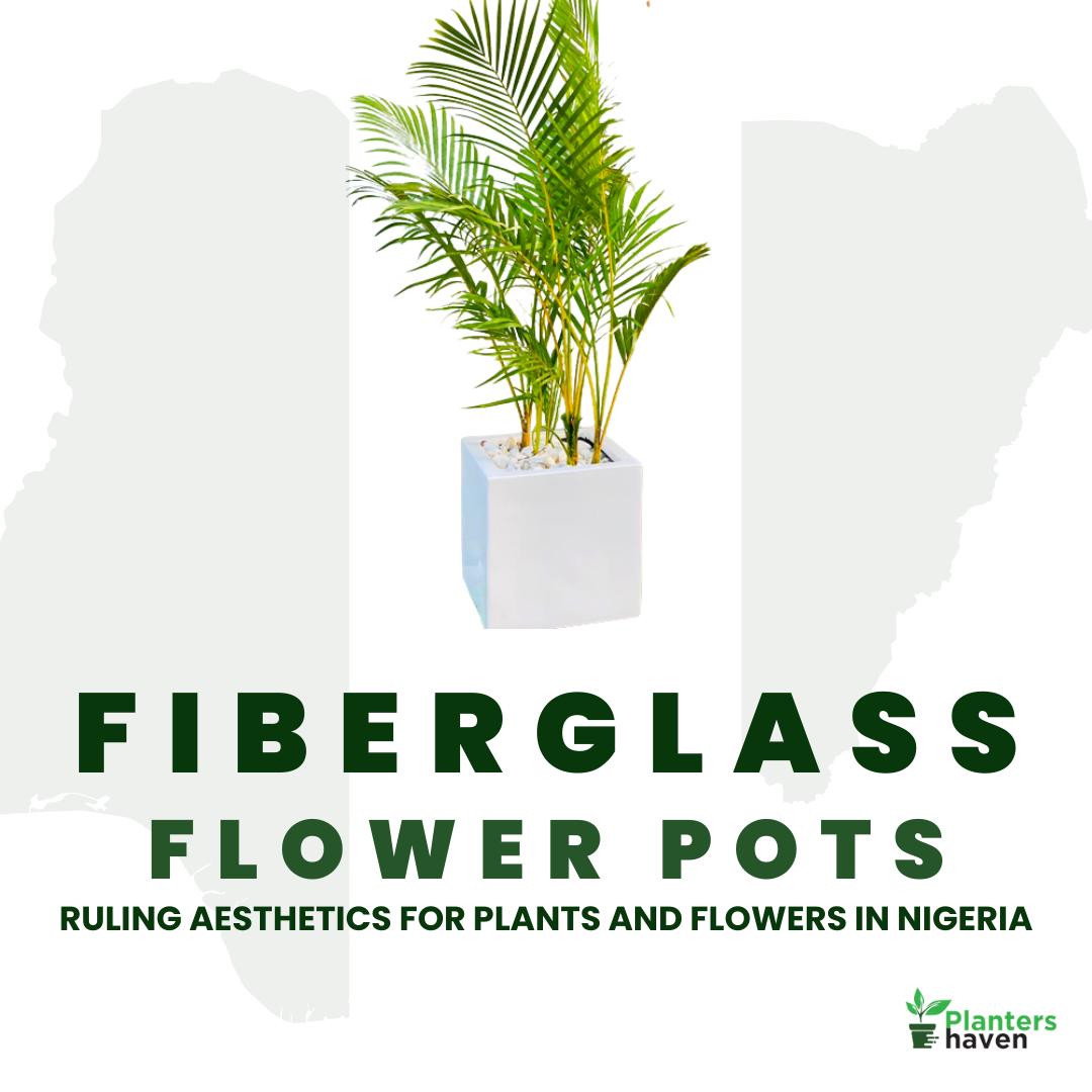 Fiberglass planters in Nigeria