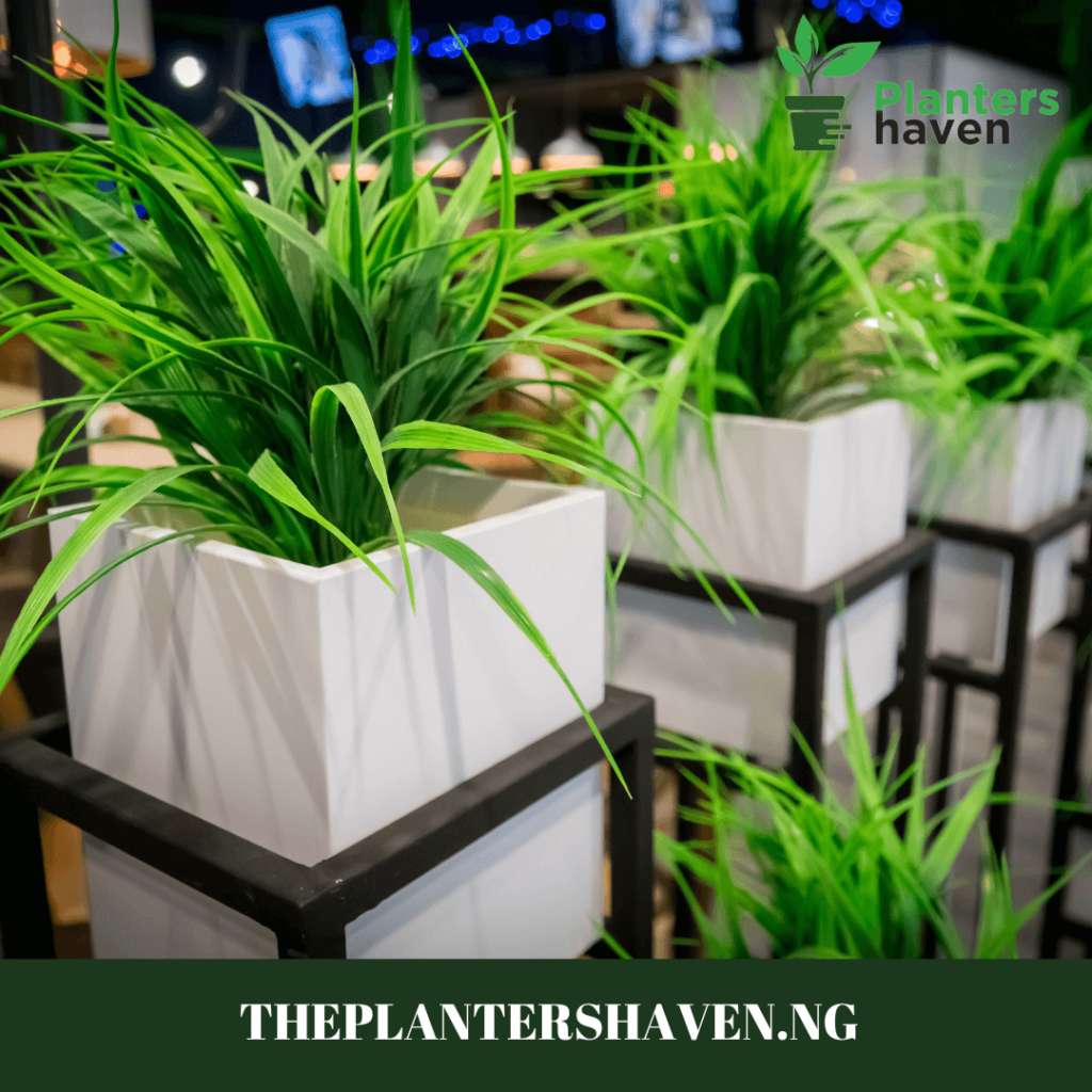 Flower Power! Stunning Fiberglass Planters for Vibrant Blooms at Planters Haven